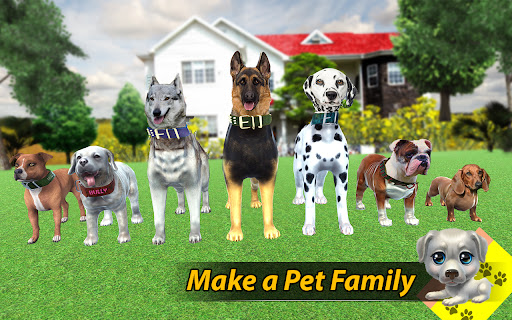 itlar uchun hayvonlar boshpanasi