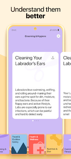 Dosty - It va mushuk uy hayvonlariga g'amxo'rlik qilish