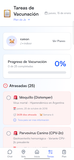 Uy hayvonlariga g'amxo'rlik qilish