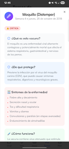 Uy hayvonlariga g'amxo'rlik qilish