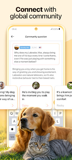 Dosty - It va mushuk uy hayvonlariga g'amxo'rlik qilish